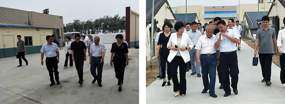 新聞=省委胥秘書長與省農(nóng)業(yè)農(nóng)村廳楊廳長一行及市、縣等領(lǐng)導(dǎo)，來我司視察01.jpg