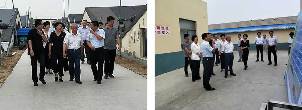 新聞=省委胥秘書長與省農(nóng)業(yè)農(nóng)村廳楊廳長一行及市、縣等領(lǐng)導(dǎo)，來我司視察02.jpg